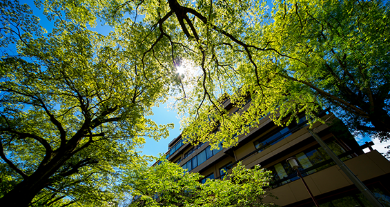 長良川を見渡すテラス席