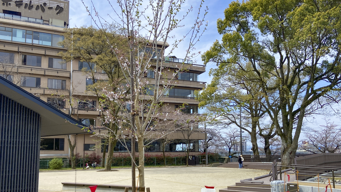 花ノ木テラス　1