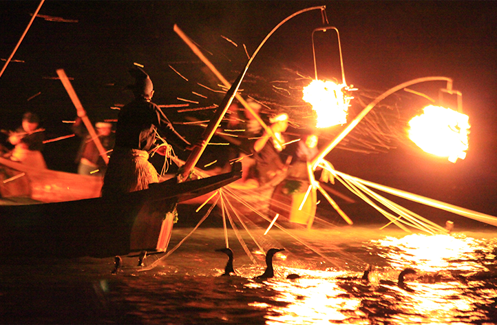 迫力の長良川鵜飼