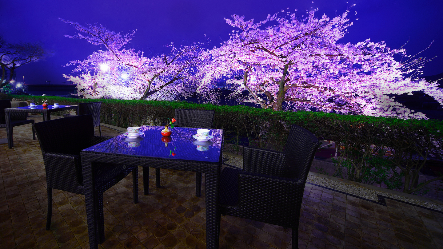 ホテルパークテラス　桜
