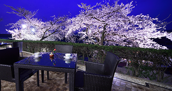 ロビーから見える春の桜