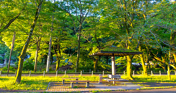 ロビーから見える春の桜