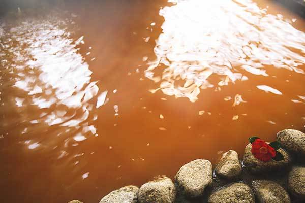 にっぽんの温泉100選